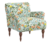 RPC9305RPCCTGRMNLCB Rifle Paper Co Elodie Citrus Grove Mint Accent Chair