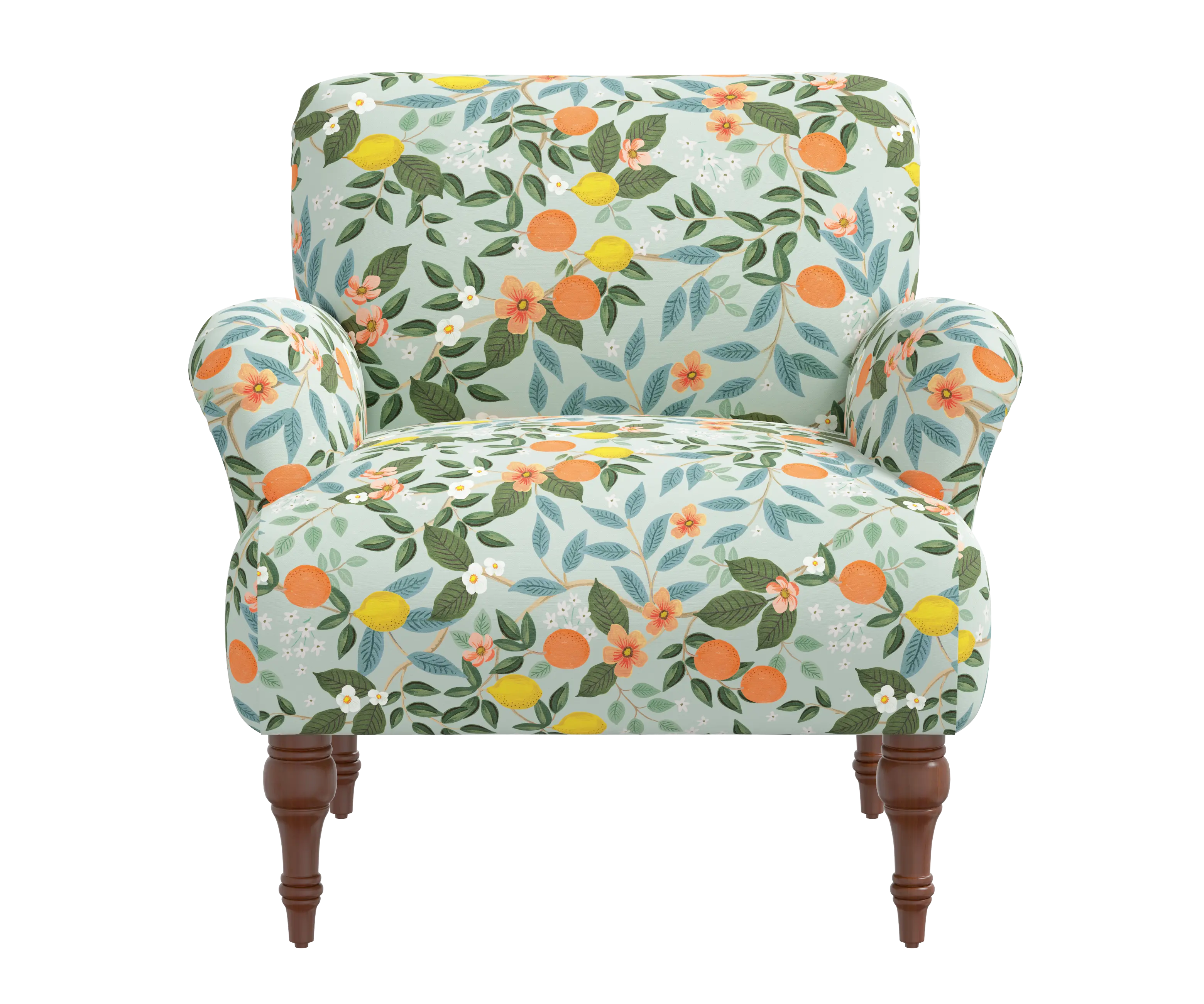 RPC9305RPCCTGRMNLCB Rifle Paper Co Elodie Citrus Grove Mint Accent Chair-1