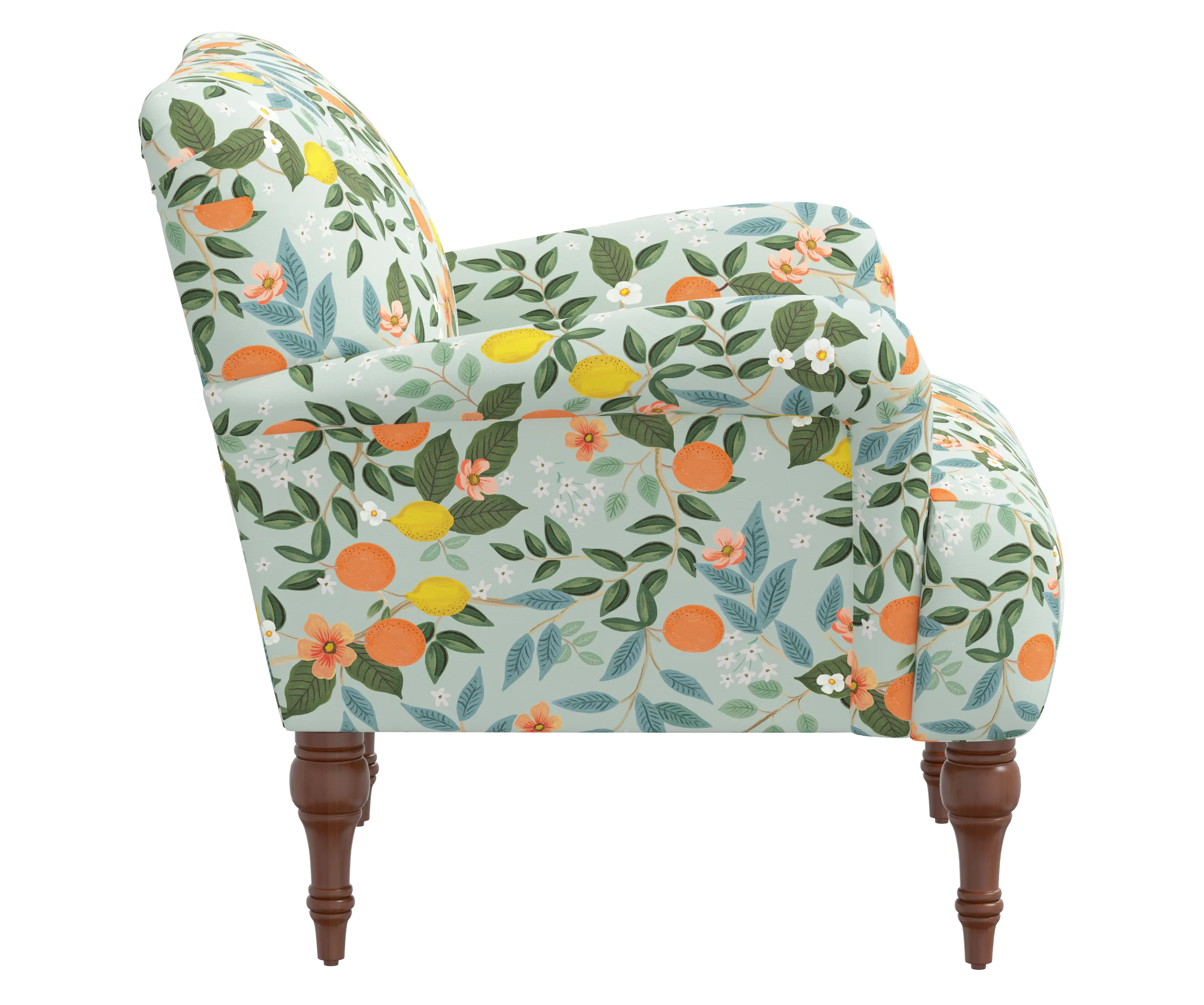 RPC9305RPCCTGRMNLCB Rifle Paper Co Elodie Citrus Grove Mint Accent Chair-3