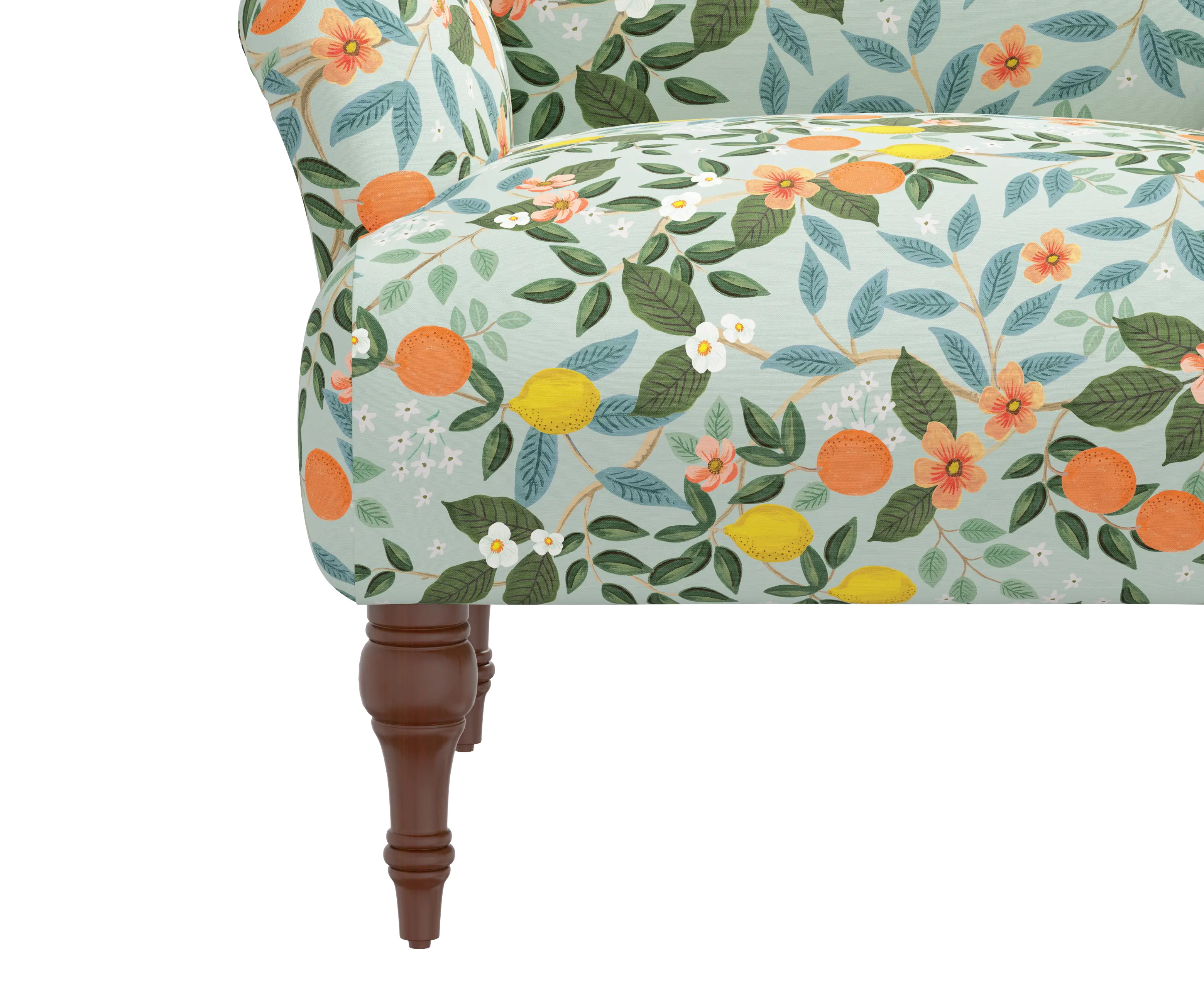 RPC9305RPCCTGRMNLCB Rifle Paper Co Elodie Citrus Grove Mint Accent Chair-5