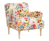 RPC9405NATRPCBLSBLSLCB Rifle Paper Co Bristol Blossom Blush Accent Chair