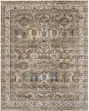 Pearson 8 x 10 Green and Ivory Area Rug