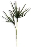Palm Stem Wired Foam Floral