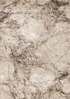 Century 5 x 8 Marbled Beige Area Rug