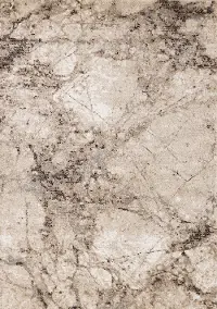 Century 8 x 11 Marbled Beige Area Rug