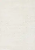 Pascal White 5 x 8 Shag Area Rug