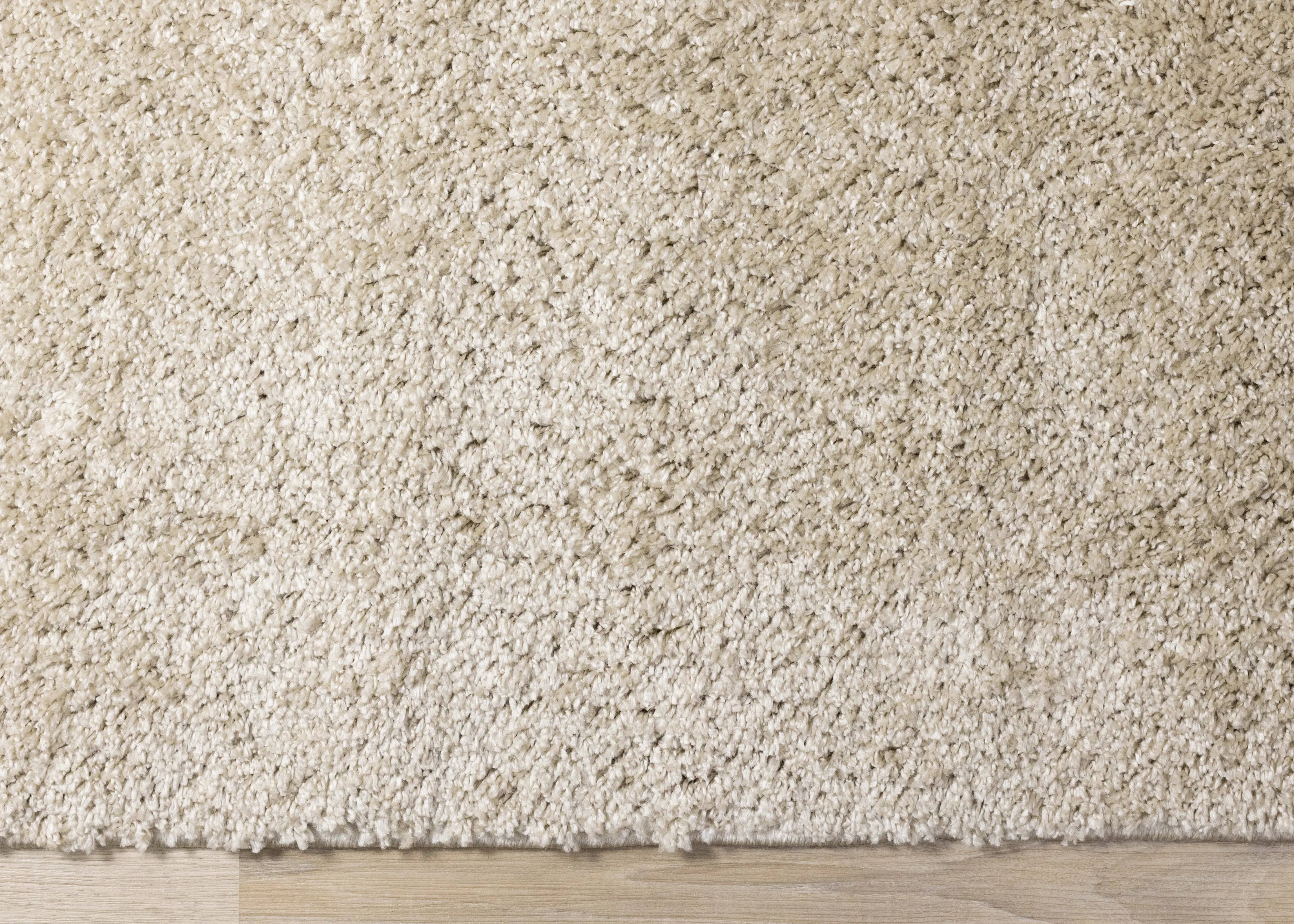 Pascal Beige 8 x 11 Shag Area Rug-5