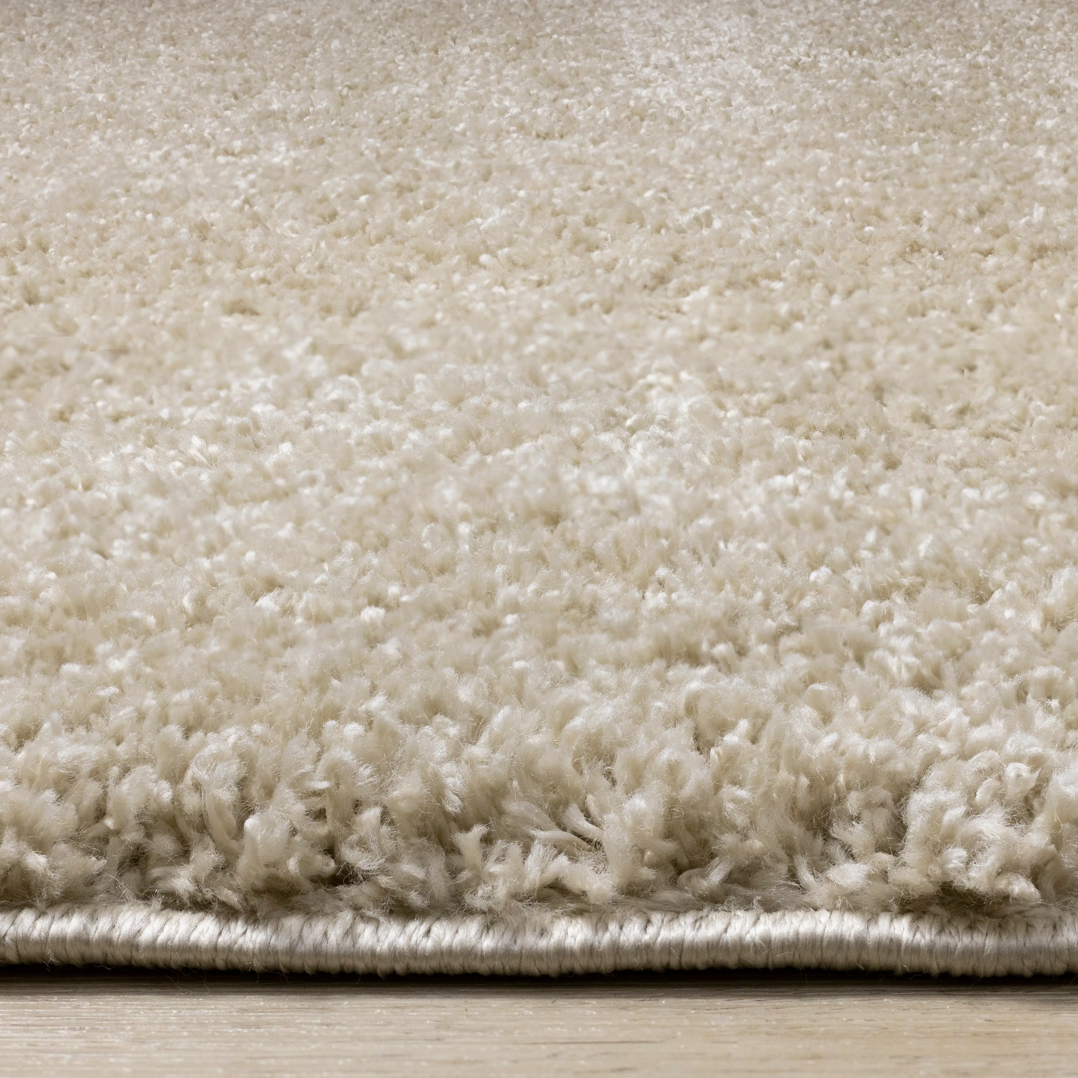 Pascal Beige 8 x 11 Shag Area Rug-6