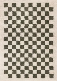 Match Sage Green Checkered 5 x 8 Shag Rug