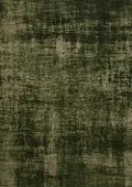 Cathedral Dark Green 5 x 8 Area Rug