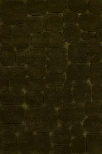 Canyon 8 x 10 Moss Green Area Rug