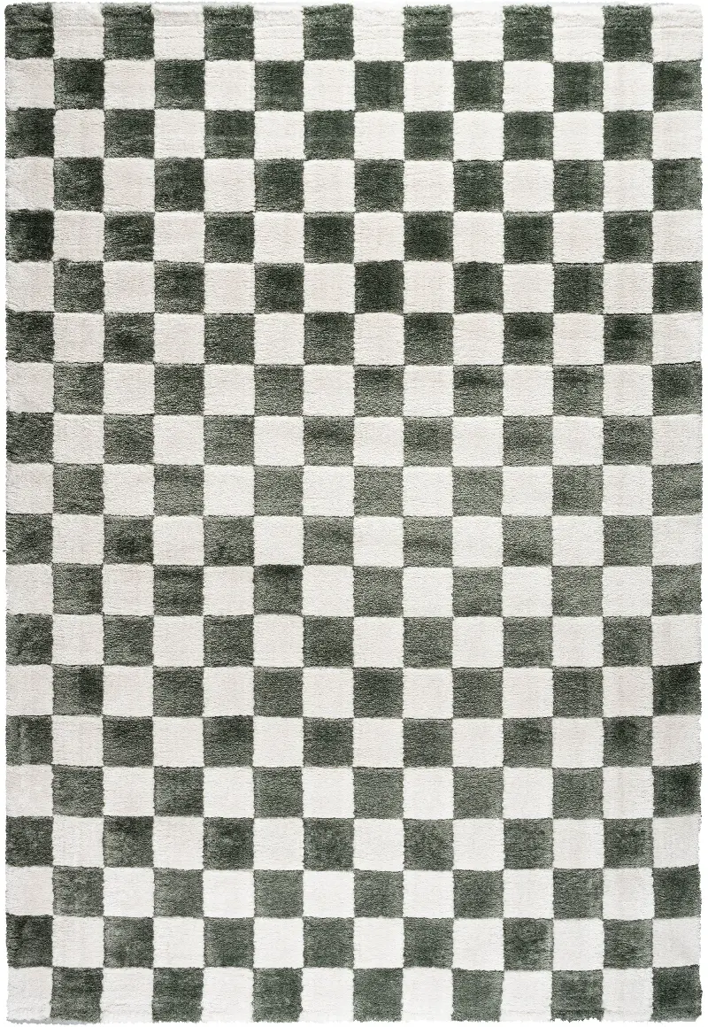 Nube 8 x 10 Checkerboard Green Area Rug