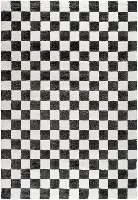 Nube 5 x 8 Checkerboard Black Area Rug