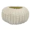 Off-White Ceramic Planter