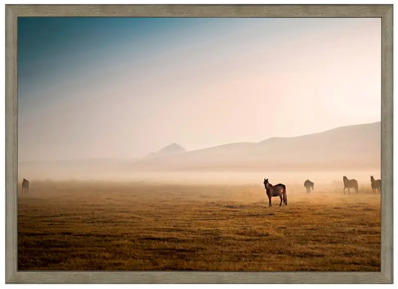 Framed Desert Horses Linen Art