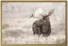 Framed Moose Stucco Wall Art