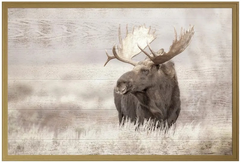 Framed Moose Stucco Wall Art
