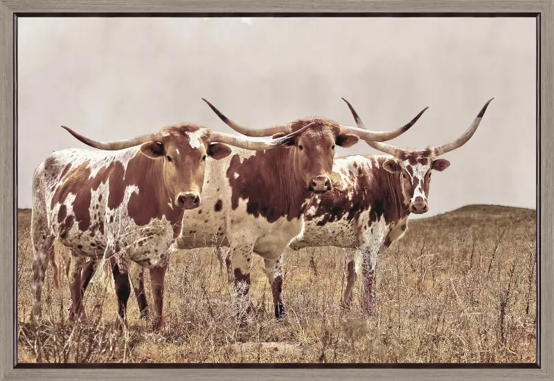 Three Amigos Framed Art