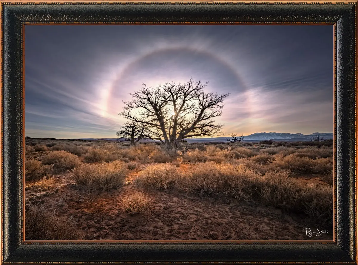 RS2042ERC Halo Framed Canvas-1