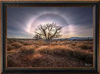 RS2042ERC Halo Framed Canvas