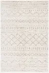 ASG741A-4 Arizona Shag Ivory and Beige Area Rug