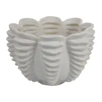 White Bowl