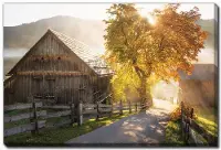 Autumn Road Wall Art
