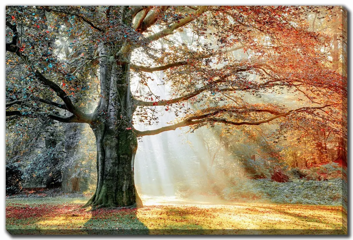 Basking In The Sun Wall Art-1