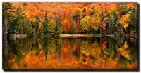 Canisbay Lake Wall Art