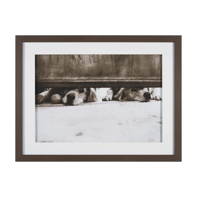 We See You Dogs Framed Photo