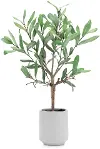 Helen 17.5  Pot Olive Leaf Topiary