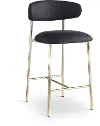 Lupita Black Vegan Leather Upholstered Counter Stool, Set of 2