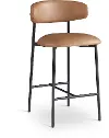 Lupita Cognac Vegan Leather Upholstered Counter Stool, Set of 2