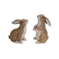 Assorted Rabbits