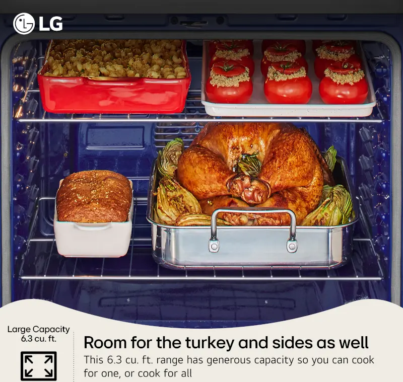 LREN6323ZE LG 6.3 Cu Ft Smart Single Oven Electric Range - Black Stainless Steel-5