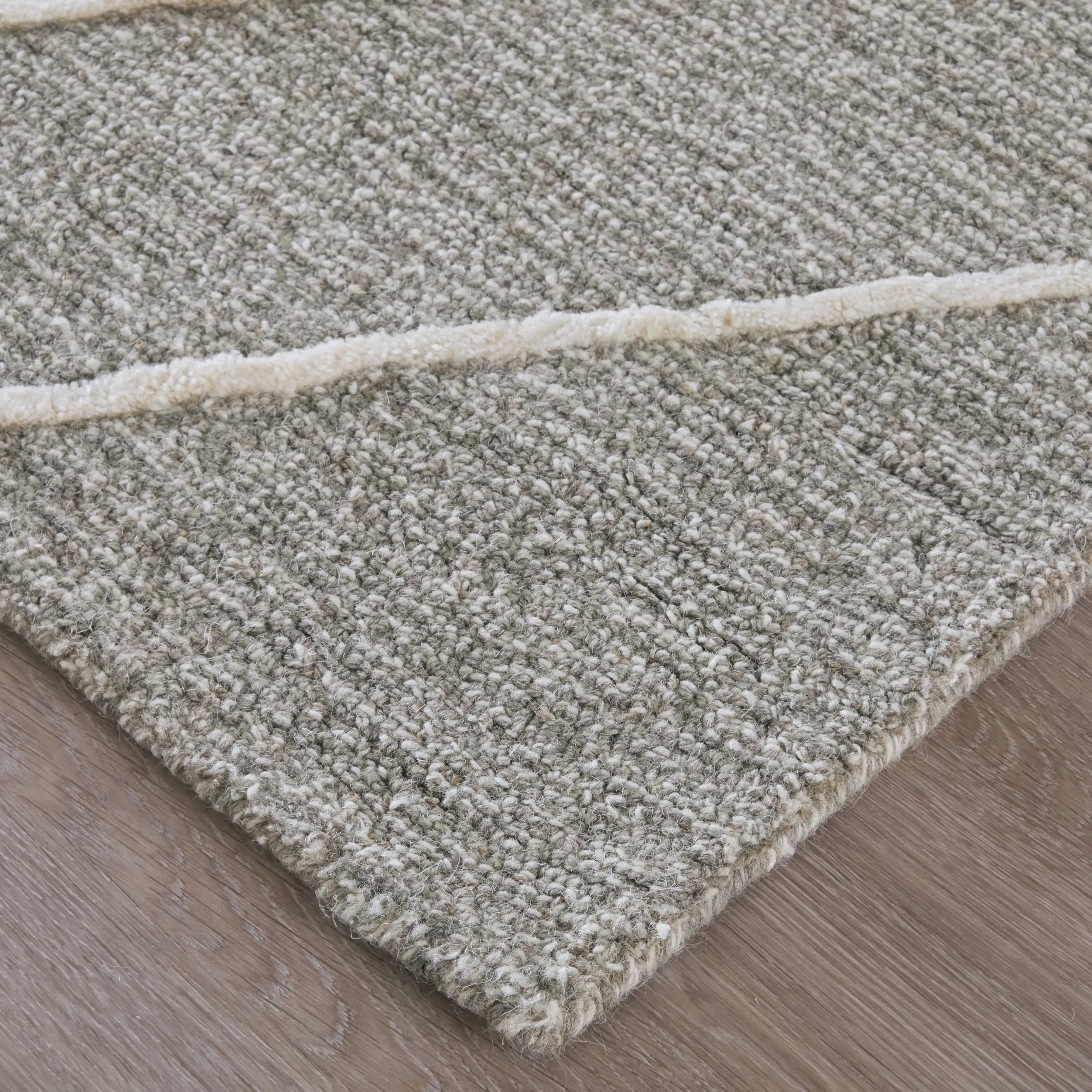 Euclid 8 x 10 Gray and Ivory Area Rug-3