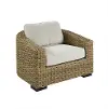Julian Brown Patio Lounge Chair