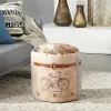 Multi-Colored Canvas Bike Stool