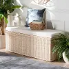 259-14272-RCW Baird Natural Rattan Storage Bench