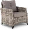 Ivy Gray Patio Club Chair