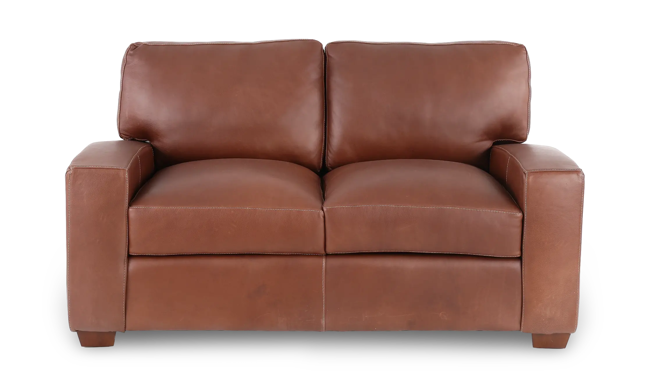 Kent Almond Leather Loveseat-4