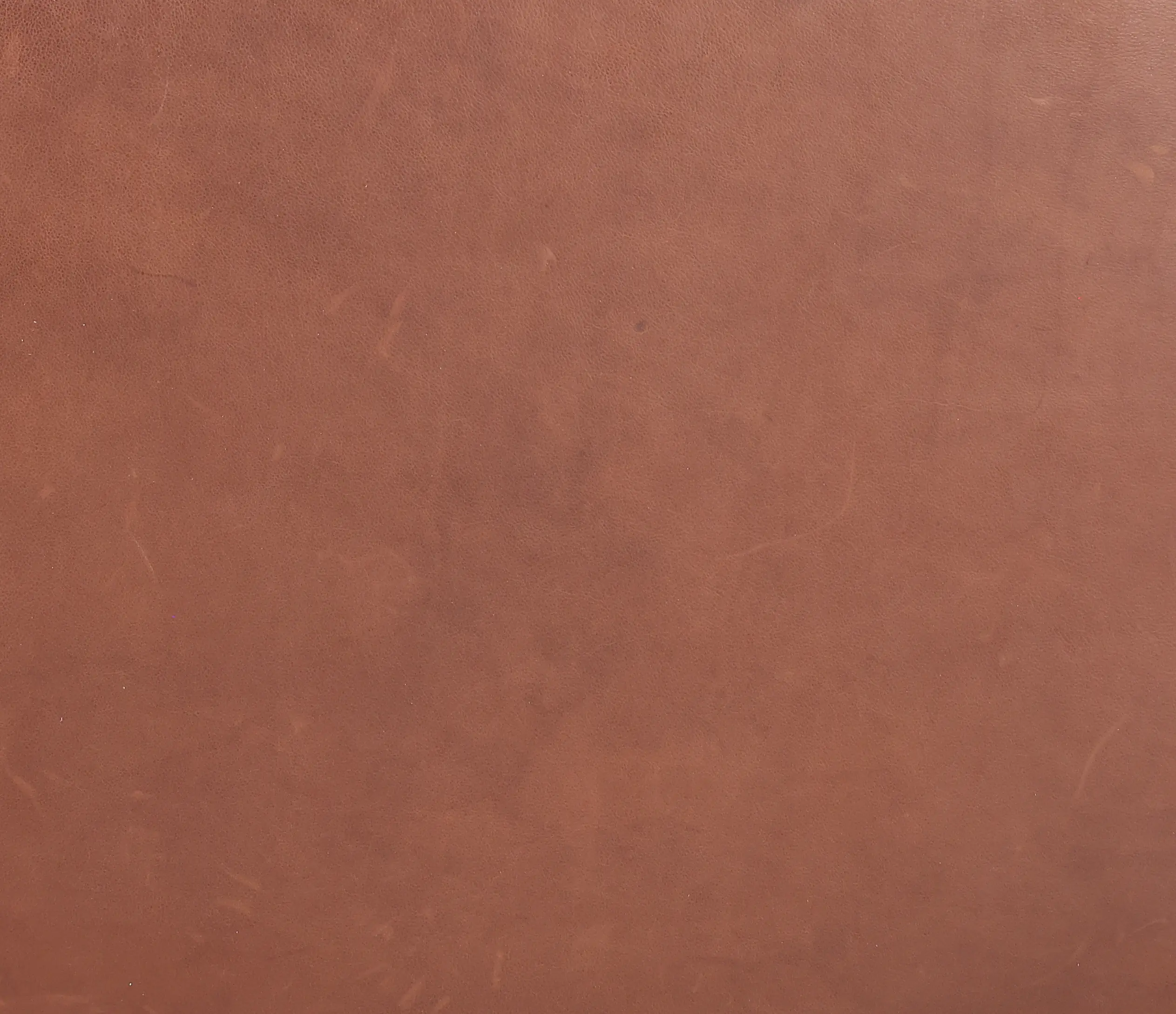 Kent Almond Leather Loveseat-7