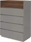 Jett Gray and Brown 5-Drawer Chest
