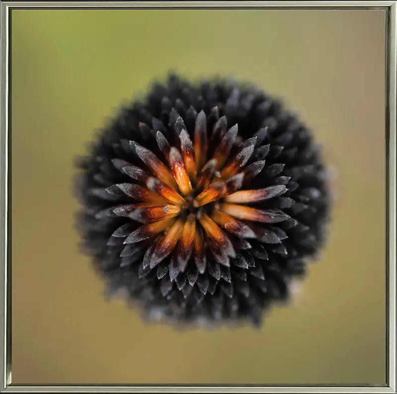 Glowing Hand Orange and Black Canvas