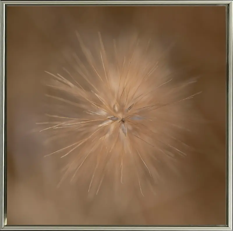 Curious Hand Embellished Canvas