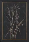 Golden Grasses I Framed Art