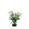 Blue Eucalyptus Tumbler Vase
