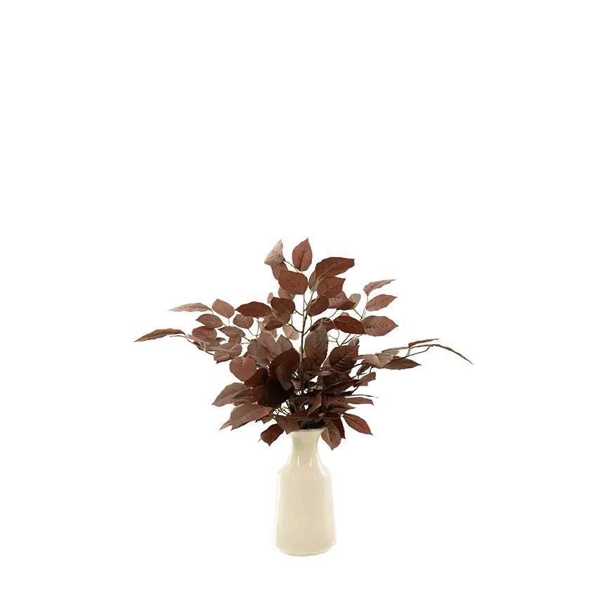 Red Beech Spray in Lait Vase-1
