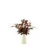 Red Beech Spray in Lait Vase