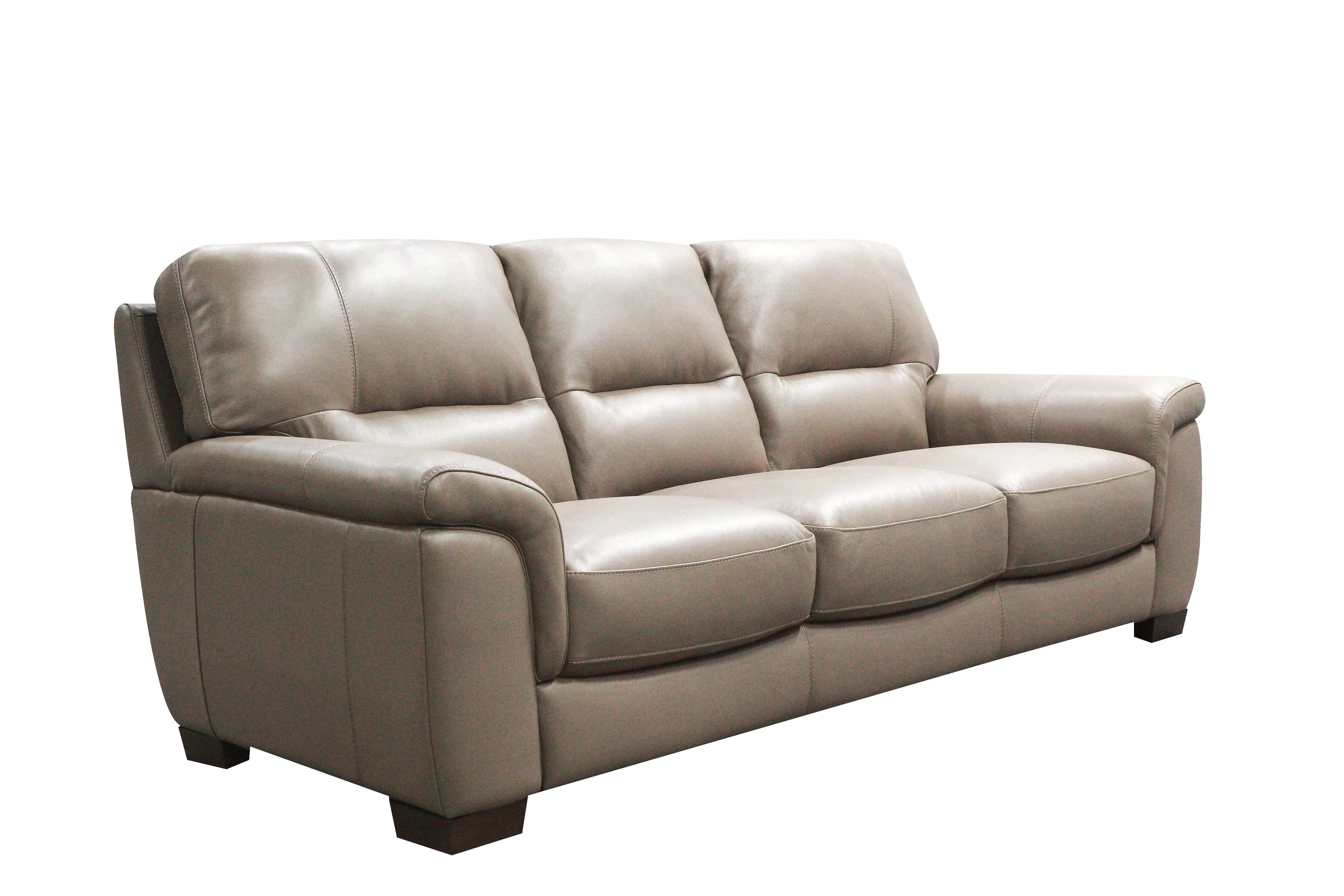 Wadsworth Granite Beige Leather Sofa-1